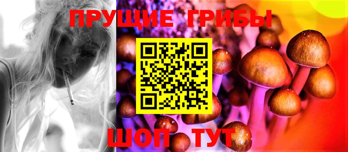 Галлюциногенные грибы Psilocybe  Вход с VPN  Жуковский 